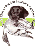 BC Labrador Retriever Club